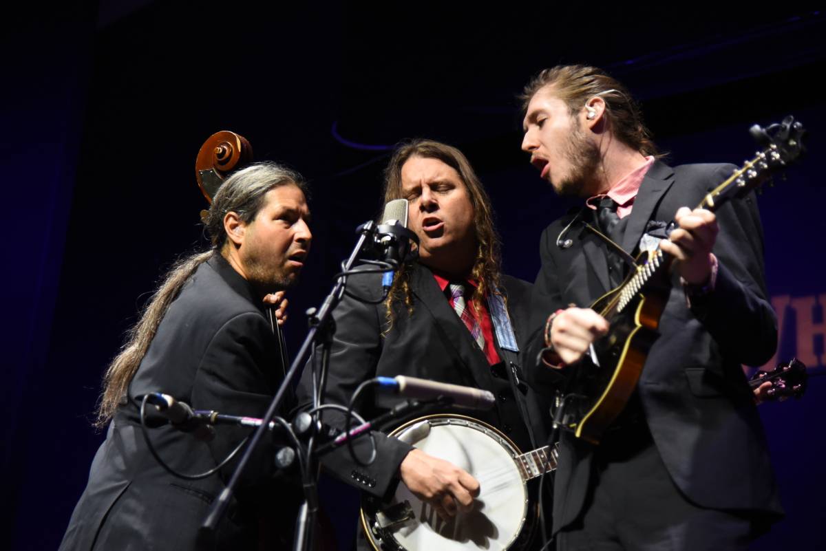 Henhouse Prowlers tour Europe in February and March